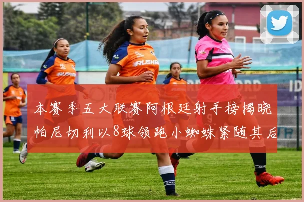 本赛季五大联赛阿根廷射手榜揭晓帕尼切利以8球领跑小蜘蛛紧随其后