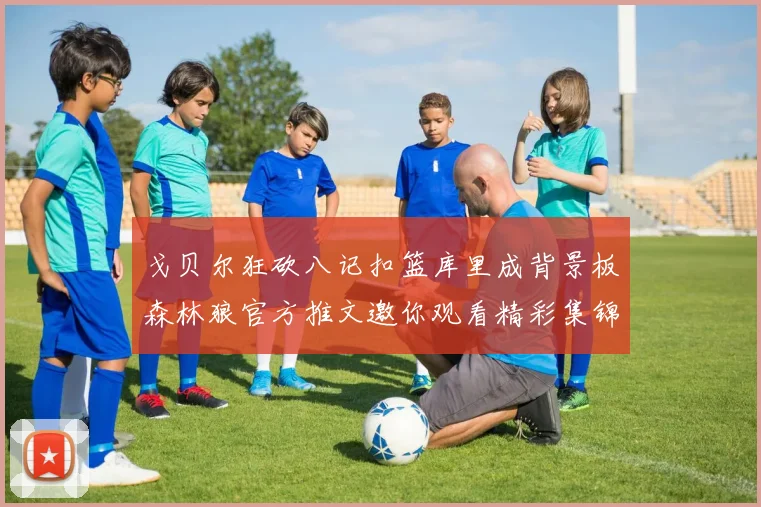 戈贝尔狂砍八记扣篮库里成背景板森林狼官方推文邀你观看精彩集锦