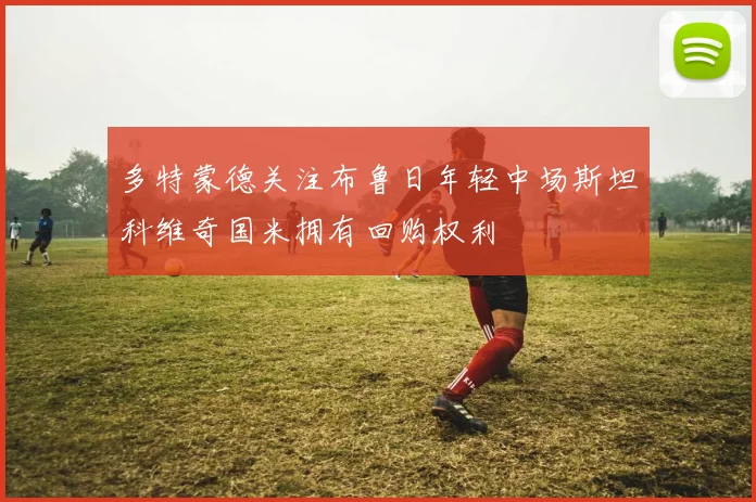多特蒙德关注布鲁日年轻中场斯坦科维奇国米拥有回购权利